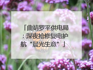 曲靖罗平供电局：深夜抢修复电护航“晨光生意”