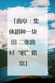 曲阜：集体耕种一块田 二张曲村“稻”路宽