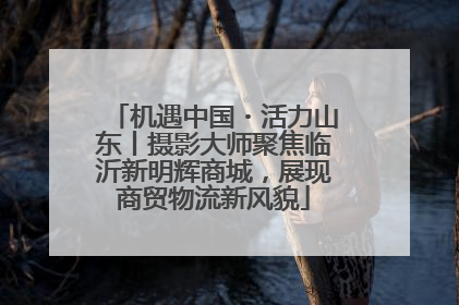 机遇中国・活力山东丨摄影大师聚焦临沂新明辉商城，展现商贸物流新风貌