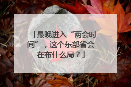 最晚进入“两会时间”，这个东部省会在布什么局？