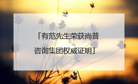 有范先生荣获尚普咨询集团权威证明
