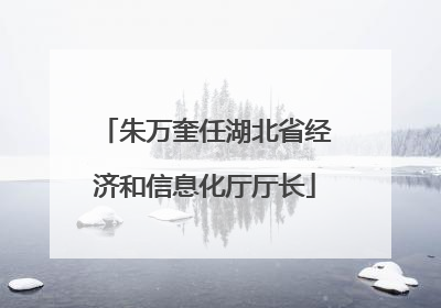 朱万奎任湖北省经济和信息化厅厅长