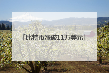 比特币涨破11万美元