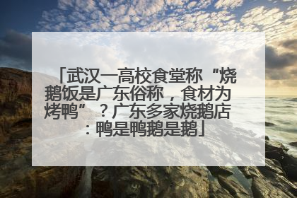 武汉一高校食堂称“烧鹅饭是广东俗称，食材为烤鸭”？广东多家烧鹅店：鸭是鸭鹅是鹅