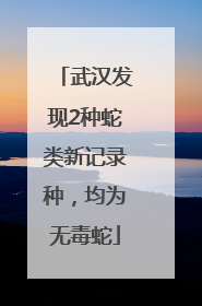 武汉发现2种蛇类新记录种，均为无毒蛇
