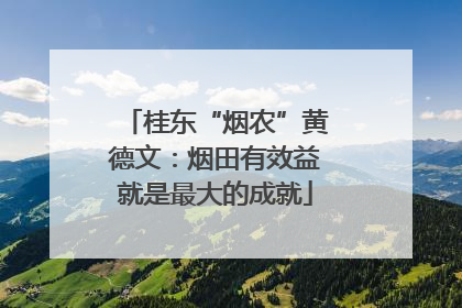 桂东“烟农”黄德文：烟田有效益就是最大的成就