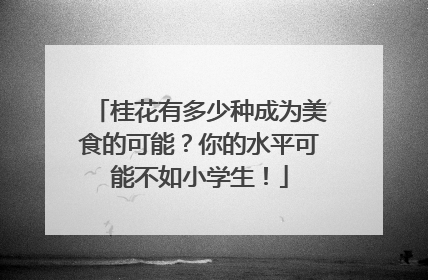 桂花有多少种成为美食的可能？你的水平可能不如小学生！
