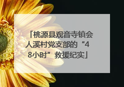 桃源县观音寺镇会人溪村党支部的“48小时”救援纪实