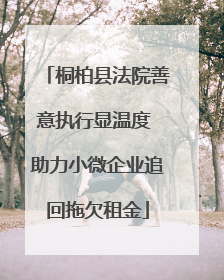 桐柏县法院善意执行显温度 助力小微企业追回拖欠租金