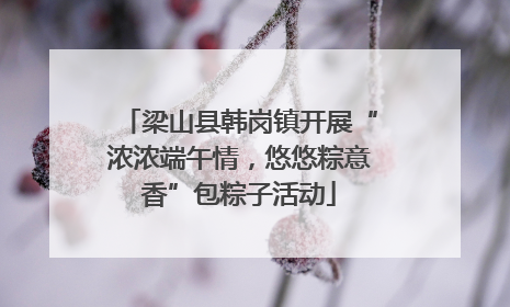 梁山县韩岗镇开展“浓浓端午情，悠悠粽意香”包粽子活动