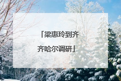 梁惠玲到齐齐哈尔调研