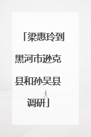 梁惠玲到黑河市逊克县和孙吴县调研