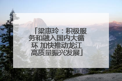 梁惠玲：积极服务和融入国内大循环 加快推动龙江高质量振兴发展