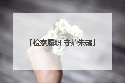 检察履职 守护朱鹮