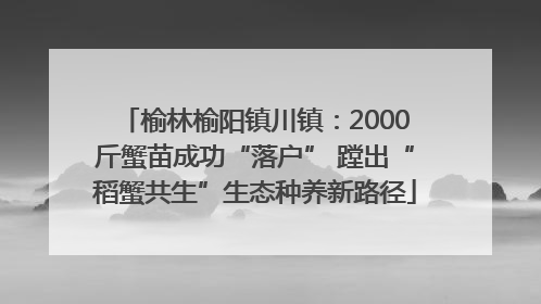 榆林榆阳镇川镇：2000斤蟹苗成功“落户” 蹚出“稻蟹共生”生态种养新路径