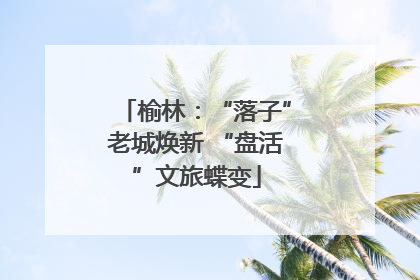榆林：“落子”老城焕新 “盘活”文旅蝶变