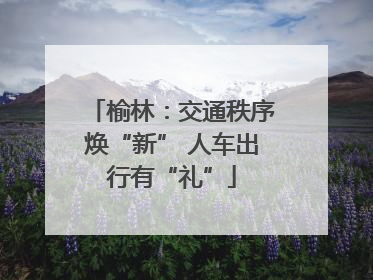 榆林：交通秩序焕“新” 人车出行有“礼”