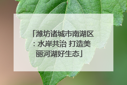 潍坊诸城市南湖区：水岸共治 打造美丽河湖好生态