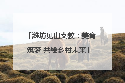潍坊见山支教：美育筑梦 共绘乡村未来