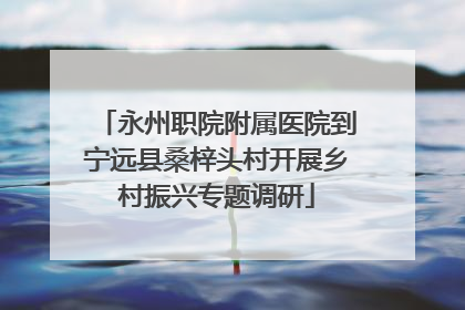 永州职院附属医院到宁远县桑梓头村开展乡村振兴专题调研