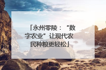 永州零陵：“数字农业”让现代农民种粮更轻松