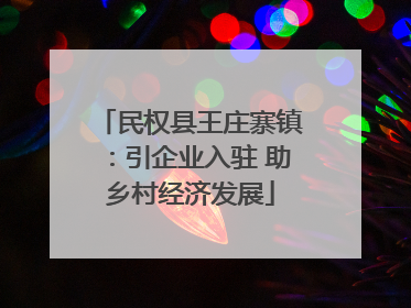 民权县王庄寨镇：引企业入驻 助乡村经济发展