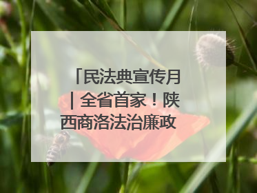 民法典宣传月｜全省首家！陕西商洛法治廉政教育基地“以案说纪”润人心