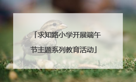 求知路小学开展端午节主题系列教育活动