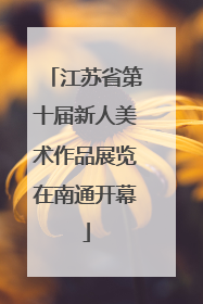 江苏省第十届新人美术作品展览在南通开幕