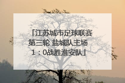 江苏城市足球联赛第三轮 盐城队主场1：0战胜淮安队
