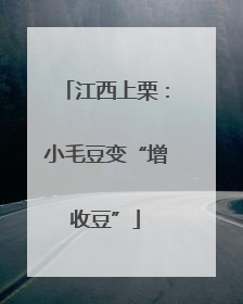 江西上栗：小毛豆变“增收豆”