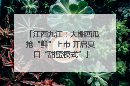 江西九江：大棚西瓜抢“鲜”上市 开启夏日“甜蜜模式”
