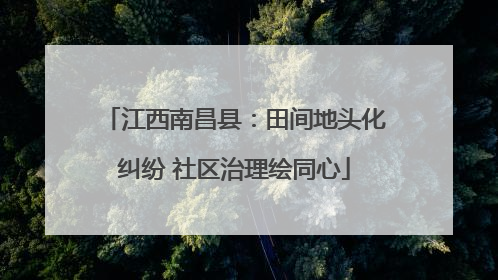 江西南昌县：田间地头化纠纷 社区治理绘同心