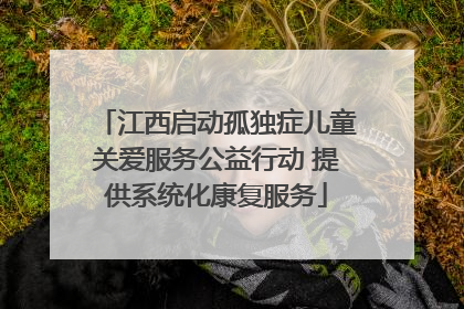 江西启动孤独症儿童关爱服务公益行动 提供系统化康复服务