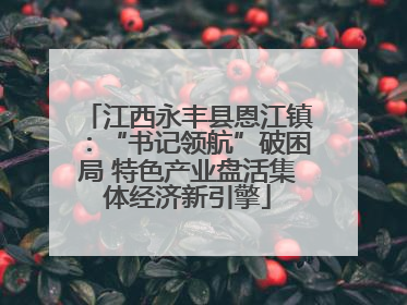 江西永丰县恩江镇：“书记领航”破困局 特色产业盘活集体经济新引擎