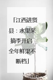 江西进贤县：水果采摘季开启 全年鲜果不断档