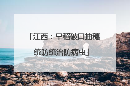 江西：早稻破口抽穗 统防统治防病虫