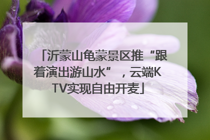 沂蒙山龟蒙景区推“跟着演出游山水”，云端KTV实现自由开麦