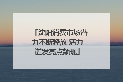 沈阳消费市场潜力不断释放 活力迸发亮点频现