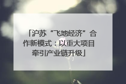 沪苏“飞地经济”合作新模式：以重大项目牵引产业链升级