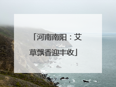 河南南阳：艾草飘香迎丰收