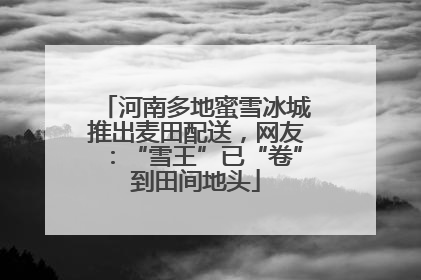 河南多地蜜雪冰城推出麦田配送，网友：“雪王”已“卷”到田间地头