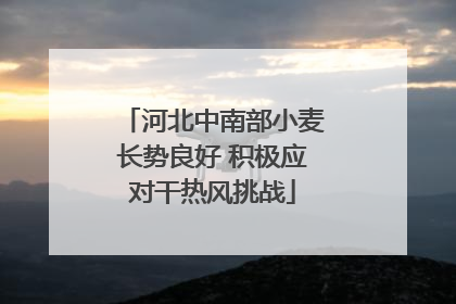 河北中南部小麦长势良好 积极应对干热风挑战