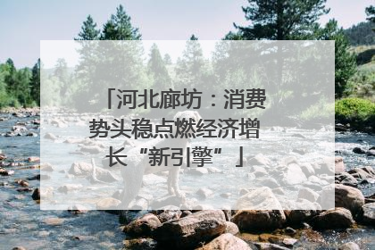河北廊坊：消费势头稳点燃经济增长“新引擎”
