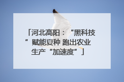 河北高阳：“黑科技”赋能夏种 跑出农业生产“加速度”