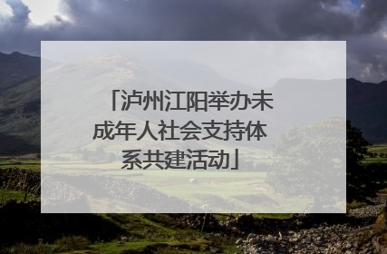 泸州江阳举办未成年人社会支持体系共建活动