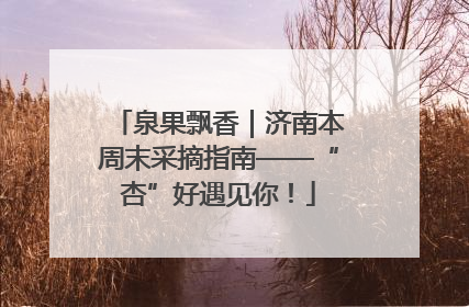 泉果飘香｜济南本周末采摘指南——“杏”好遇见你！