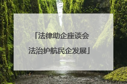法律助企座谈会 法治护航民企发展