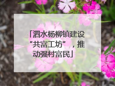 泗水杨柳镇建设“共富工坊”，推动强村富民
