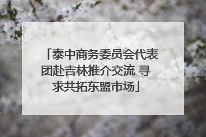 泰中商务委员会代表团赴吉林推介交流 寻求共拓东盟市场